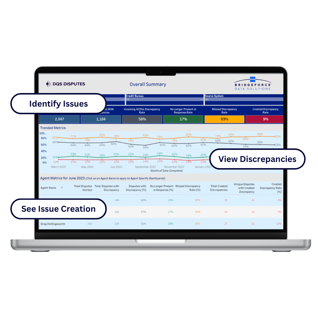 Laptop preview of the Disputes Module